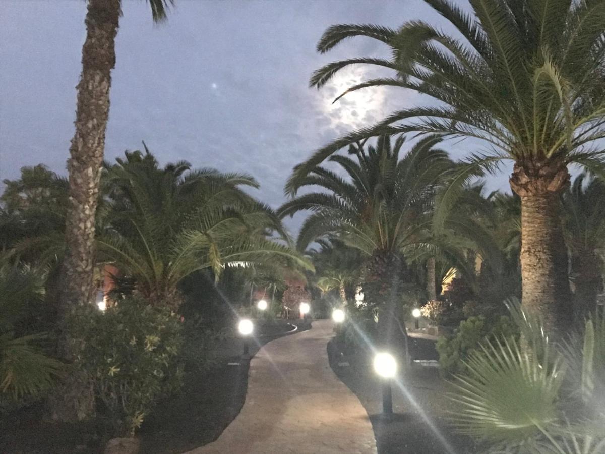 My Pretty Home - Lovely And Spacious Surrounded By Tropical Gardens - Private Covered And Uncovered Terrace - Pool - Parking - Free Fibre Optic Internet Corralejo Exterior foto
