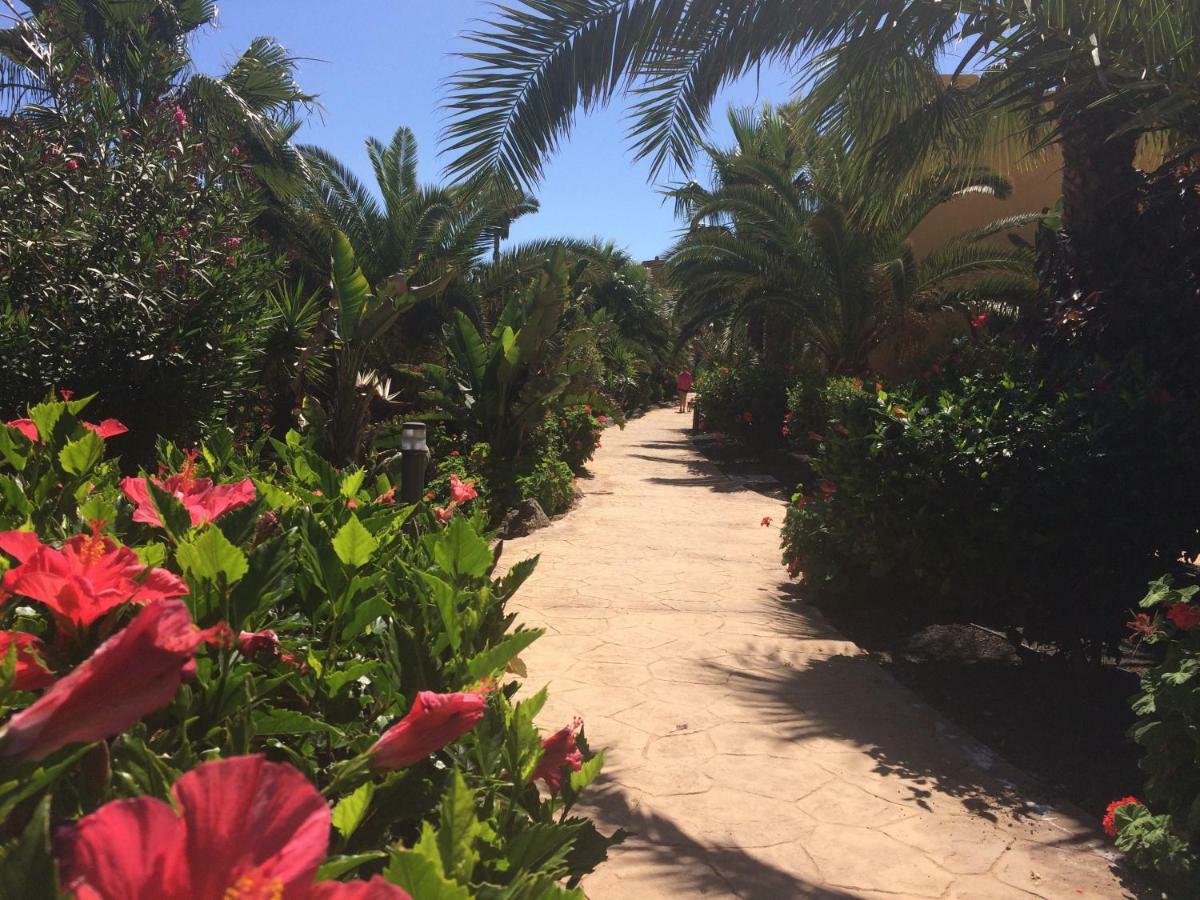 My Pretty Home - Lovely And Spacious Surrounded By Tropical Gardens - Private Covered And Uncovered Terrace - Pool - Parking - Free Fibre Optic Internet Corralejo Exterior foto
