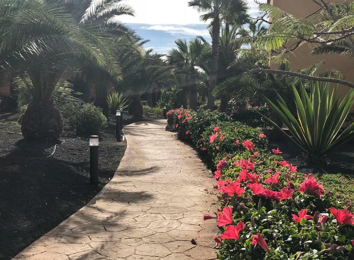 My Pretty Home - Lovely And Spacious Surrounded By Tropical Gardens - Private Covered And Uncovered Terrace - Pool - Parking - Free Fibre Optic Internet Corralejo Exterior foto